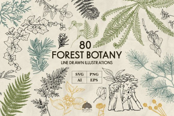 Download Forest Botany Line Art Svg - Line art Collection