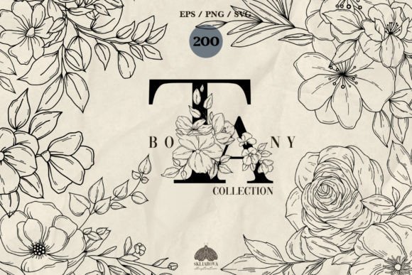 Download Botany Line Art Collection - Line art Collection